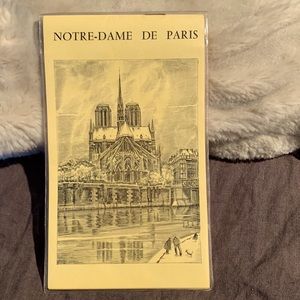 Notre-Dame de Paris slides. 1900’s. Pristine and can never be replaced.